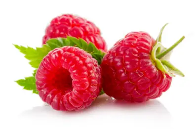 Sorbet framboise